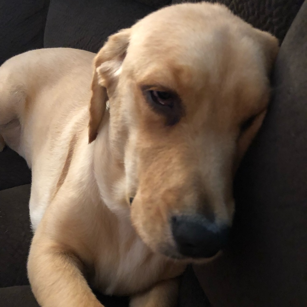 Meet your Posher, Summer